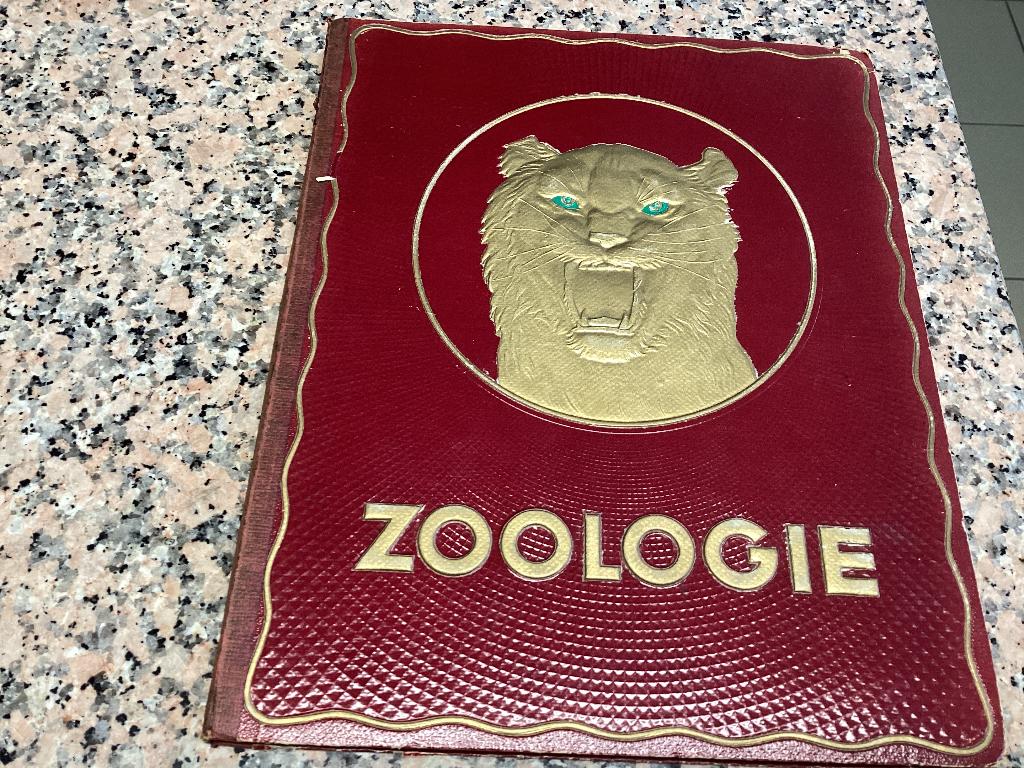 Prentjesalbum ZOÖLOGIE. KWATTA, Ophalen of Verzenden, Gebruikt