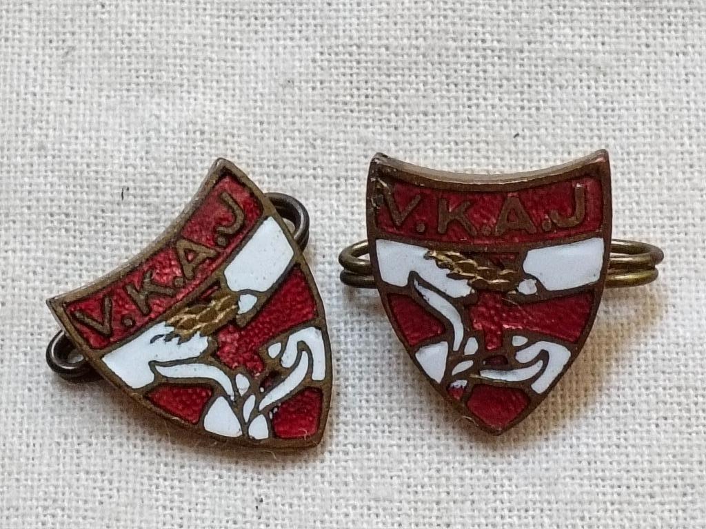 vintage pins VKAJ, Ophalen of Verzenden