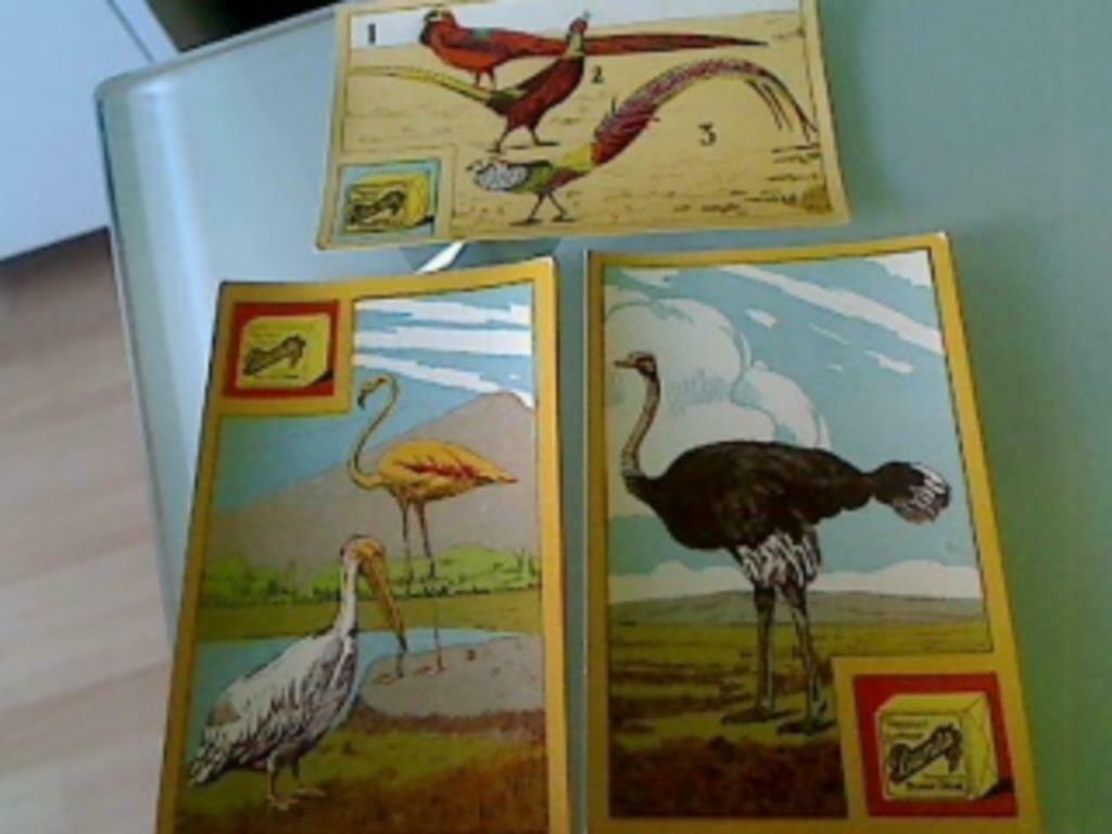 Anciens chromos "BRUNITA" Les oiseaux, Collections, Enlèvement ou Envoi