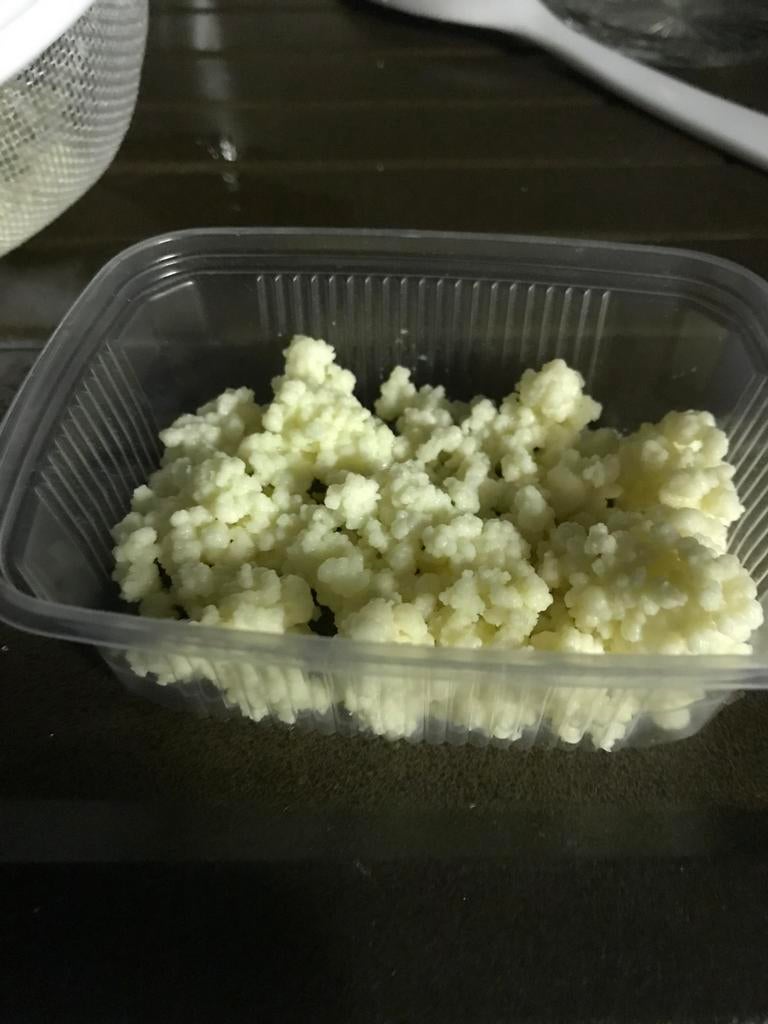 Melkkefir, Ophalen