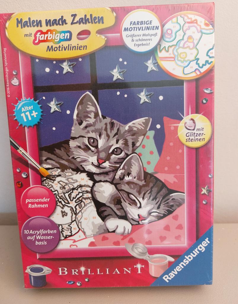 schilder op nummer katten en kittens paint by number (nieuw), Hobby en Vrije tijd, Schilderen, Ophalen of Verzenden, Nieuw, Schilderen op nummer