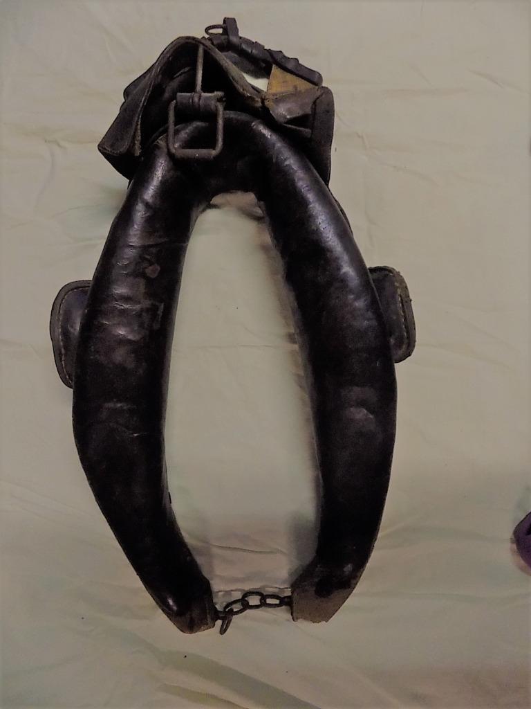 Harnais, Animaux & Accessoires, Enlèvement, Utilisé