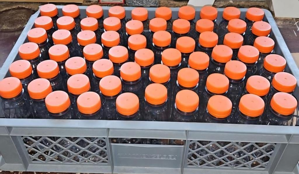 190 x 250cc Flesje helder met oranje dop nooit gebruikt gewe, Ophalen