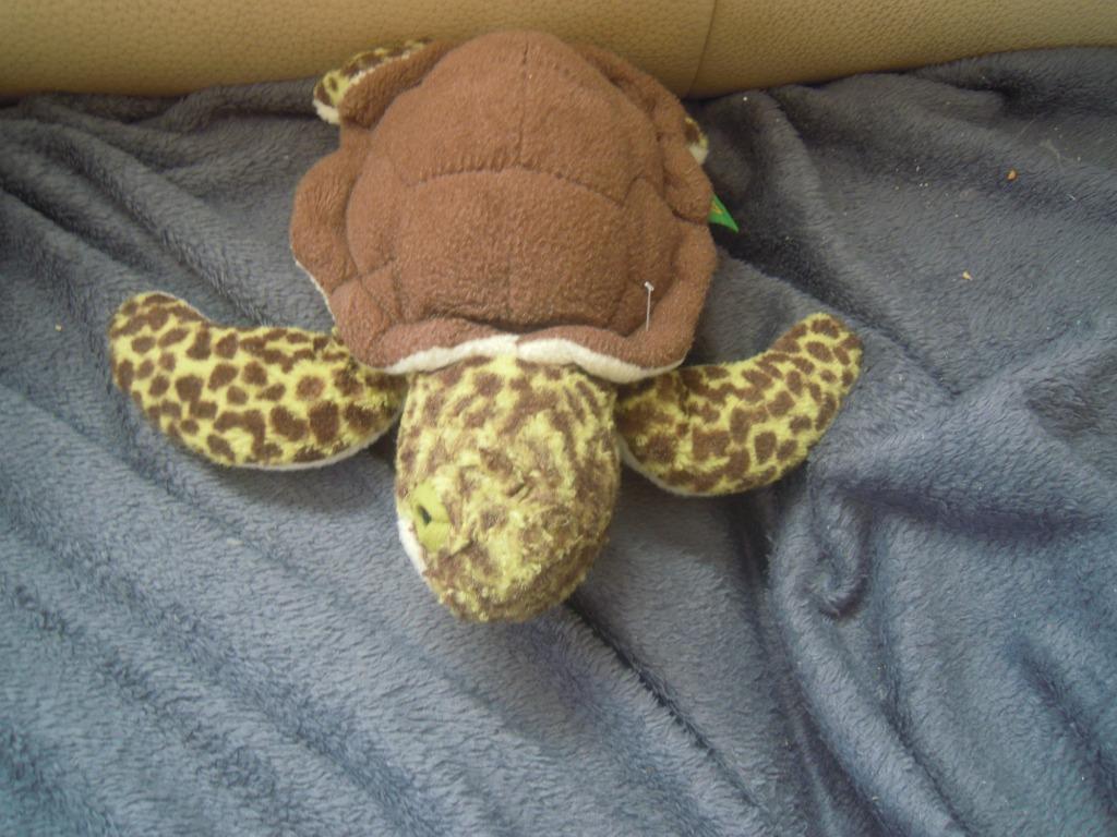 knuffel wild  republic schildpad (doos 30), Enlèvement ou Envoi, Comme neuf