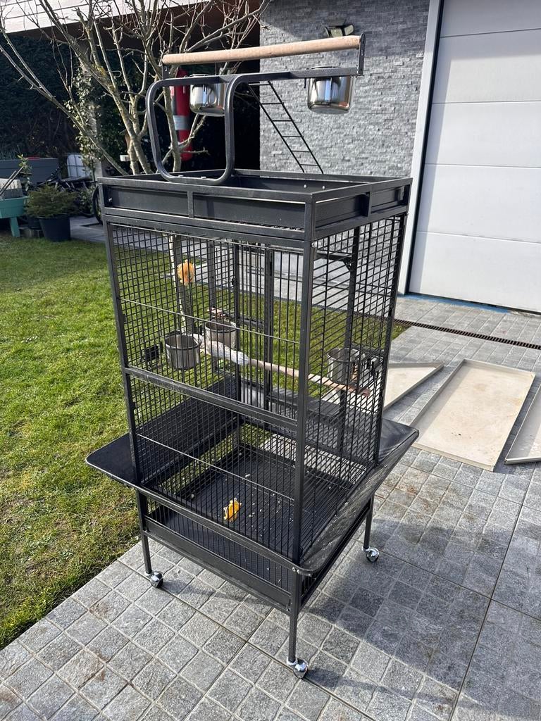 Cage Tiaki Noble, Ophalen, Nieuw, Metaal, Vogelkooi