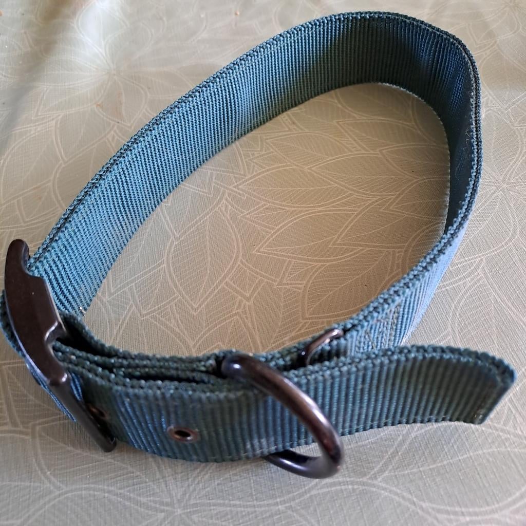 Honden halsband, Enlèvement, Comme neuf