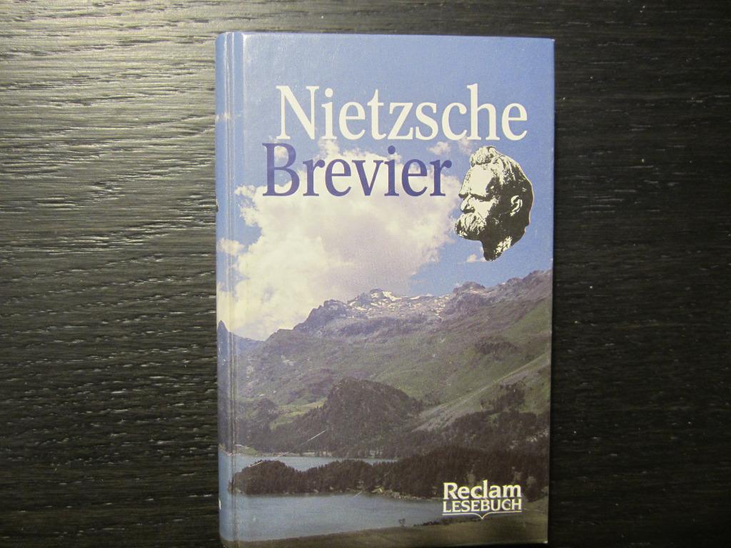 Nietzsche Brevier  - Kurt Flasch-, Boeken, Ophalen of Verzenden