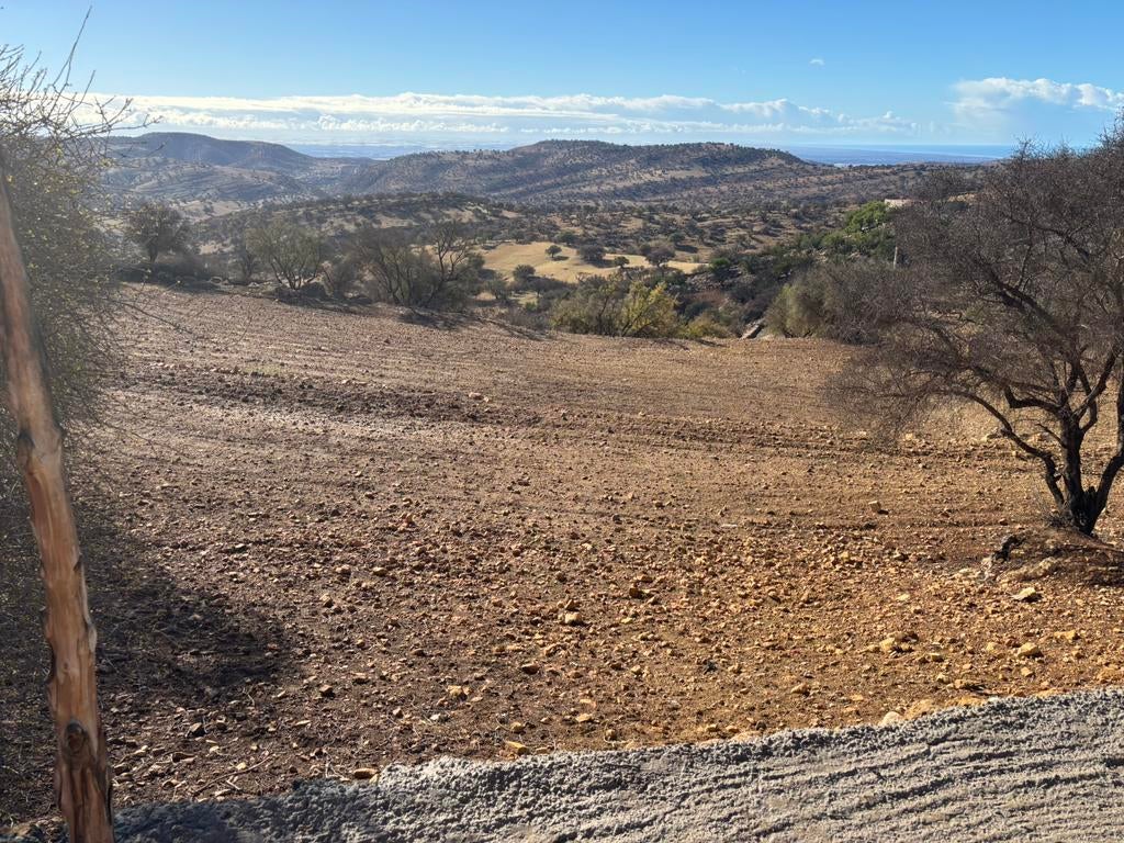Terrain de 5500 m2 a vendre à Agadir