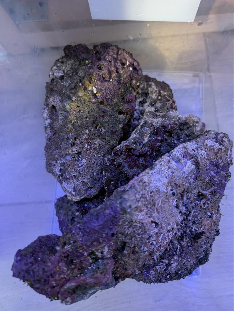 6kg Pierres Vivantes Aquarium Recifal
