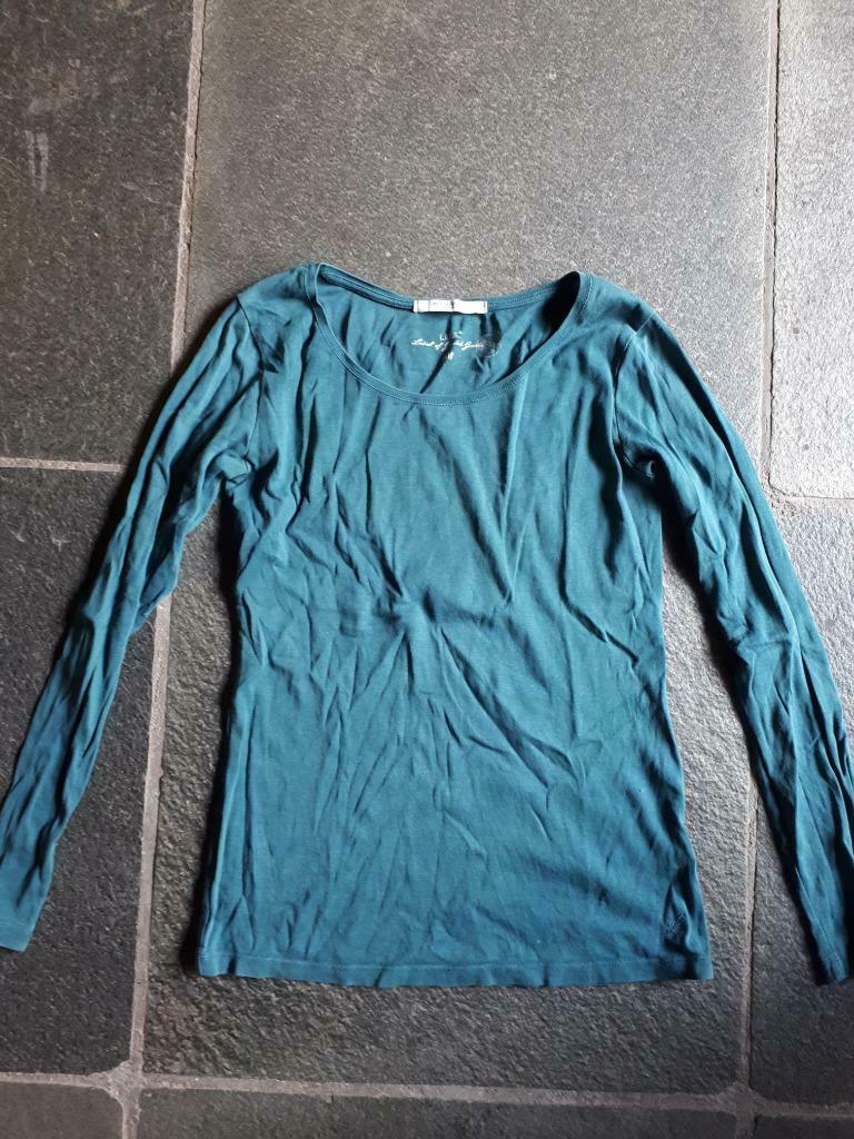 damestrui large appelblauwzeegroen, Kleding | Dames, Ophalen of Verzenden, Gedragen, Maat 42/44 (L), Groen