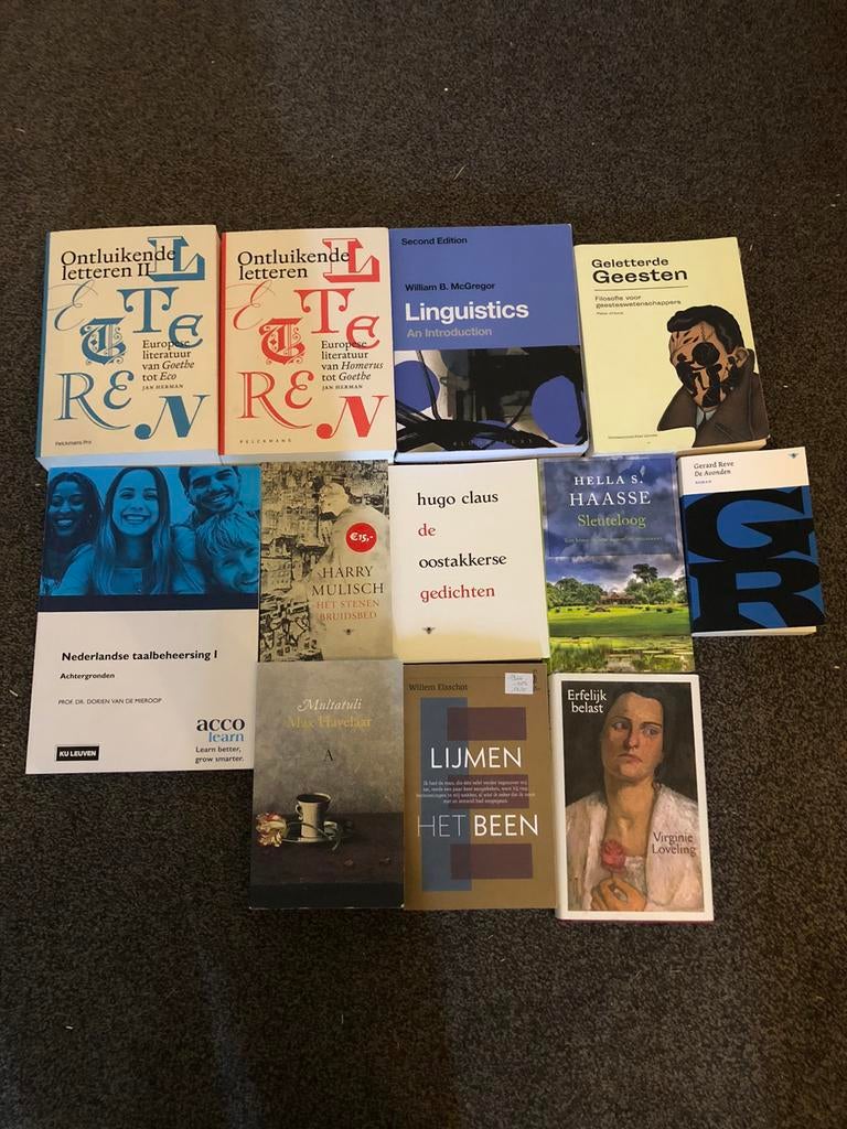 Taal- en Letterkunde Universiteit boeken, Enlèvement, Comme neuf, Enseignement supérieur