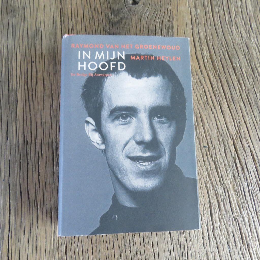 Raymond van het Groenewoud In mijn hoofd Martin Heylen, Ophalen of Verzenden
