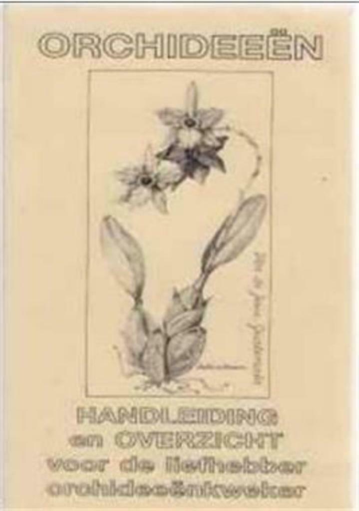 Orchideeën, samenstellling Neirynck Rik, Boeken, Natuur, Gelezen, Bloemen, Planten en Bomen, Ophalen of Verzenden