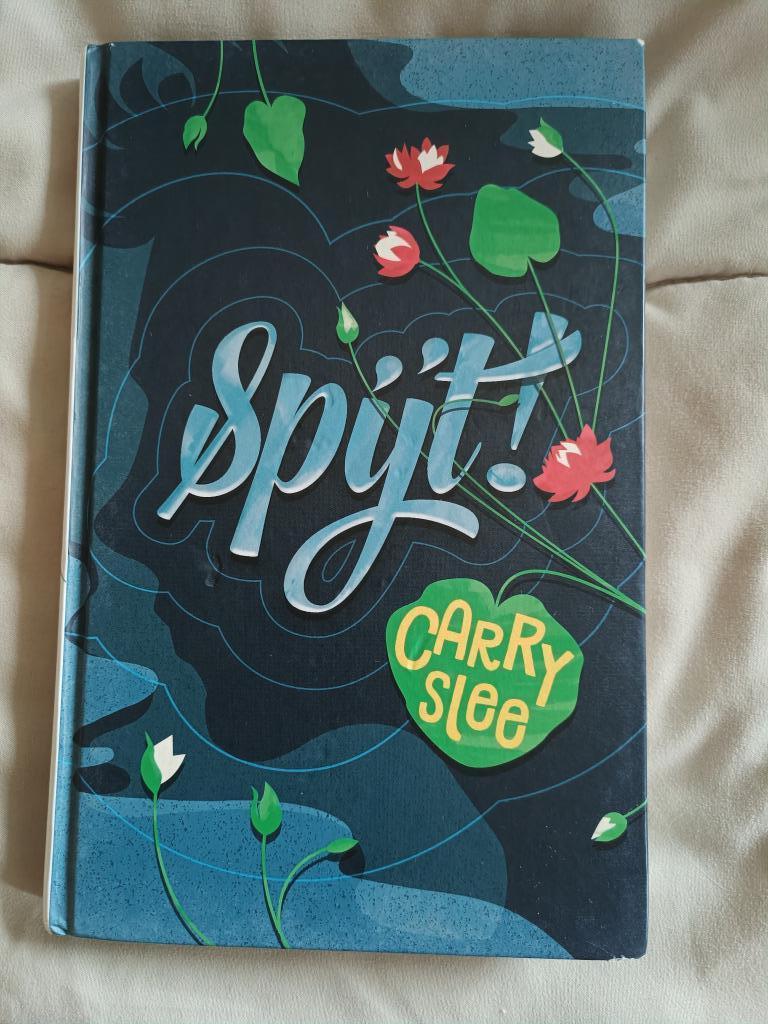 Livre "Spijt!", Enlèvement ou Envoi, Utilisé, Fiction