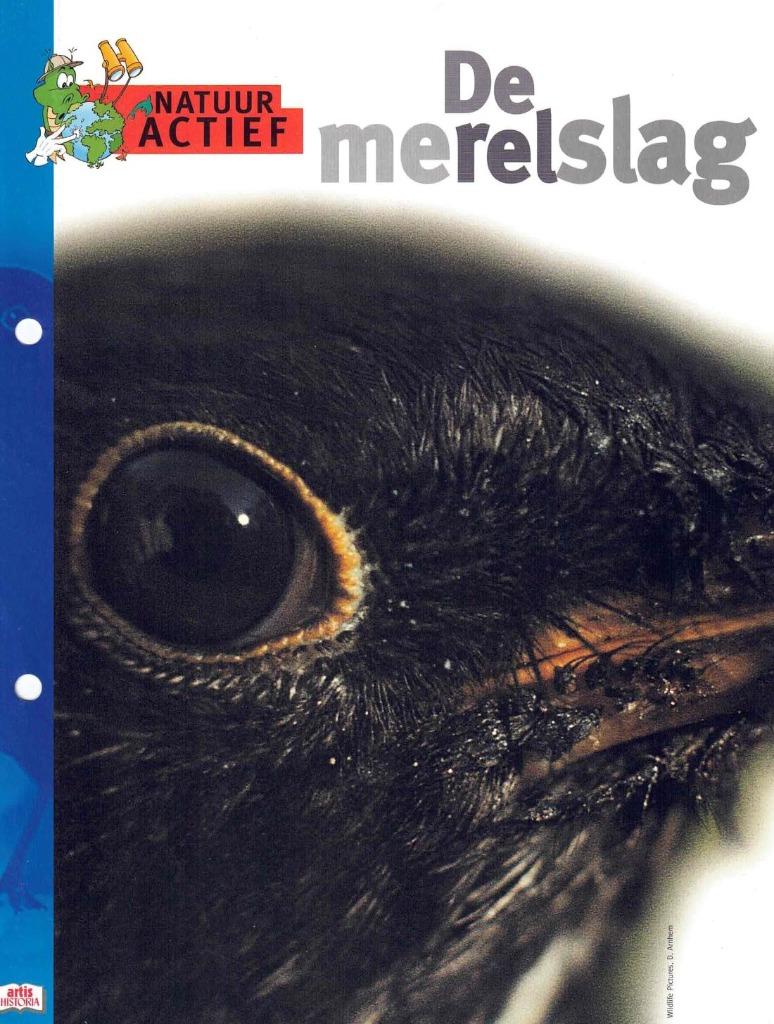 De merelslag: info over de merel - NIEUW, Enlèvement ou Envoi, Neuf, Natuur actief, Non-fiction