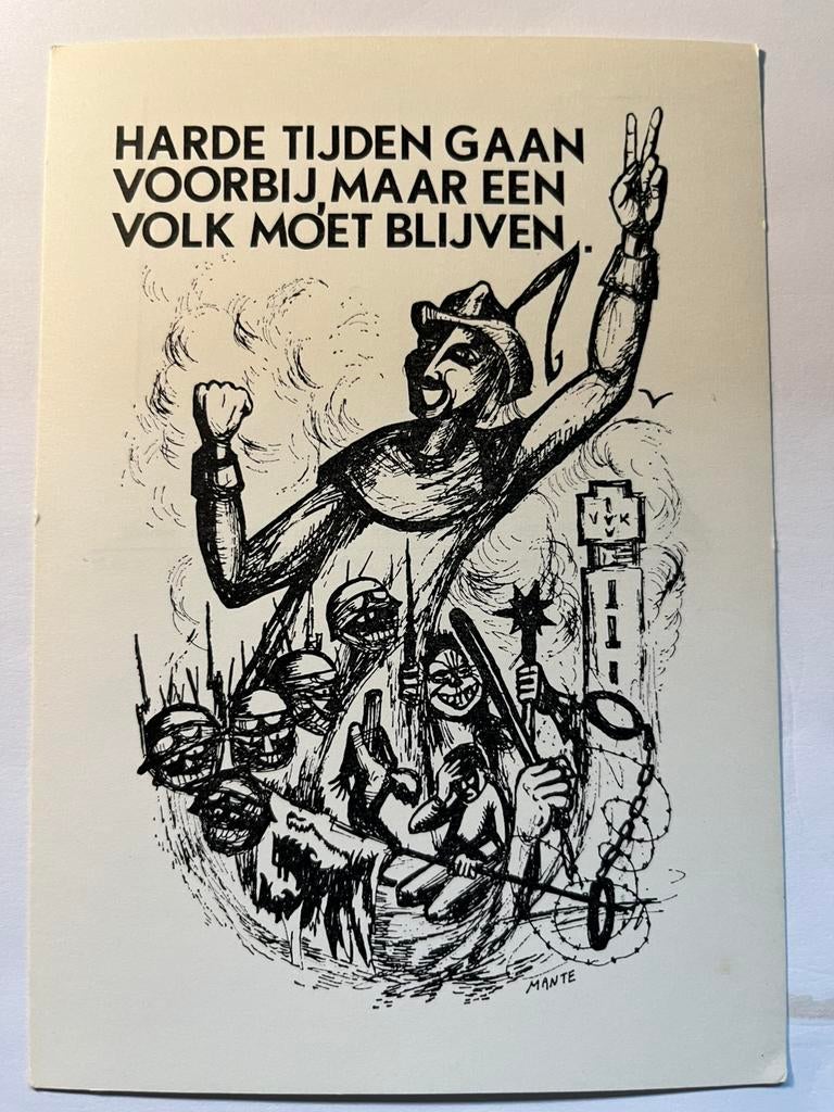 Zeldzame postkaarten Vlaamse Beweging, Verzamelen, Ophalen, 1940 tot 1960, Ongelopen, Politiek en Historie