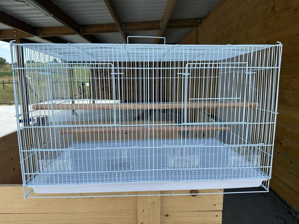 Kweekkooi draadkooi XL, Dieren en Toebehoren, Ophalen of Verzenden, Nieuw