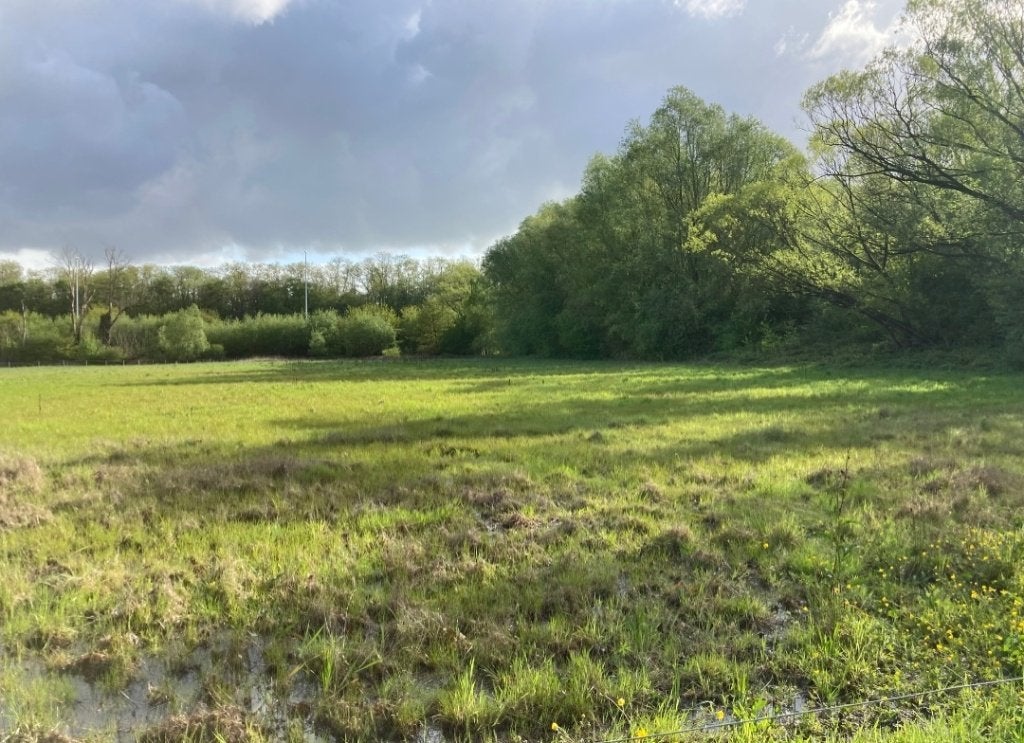 Gezocht: stukje grond voor klein pluimvee – regio Ekeren, Antwerpen