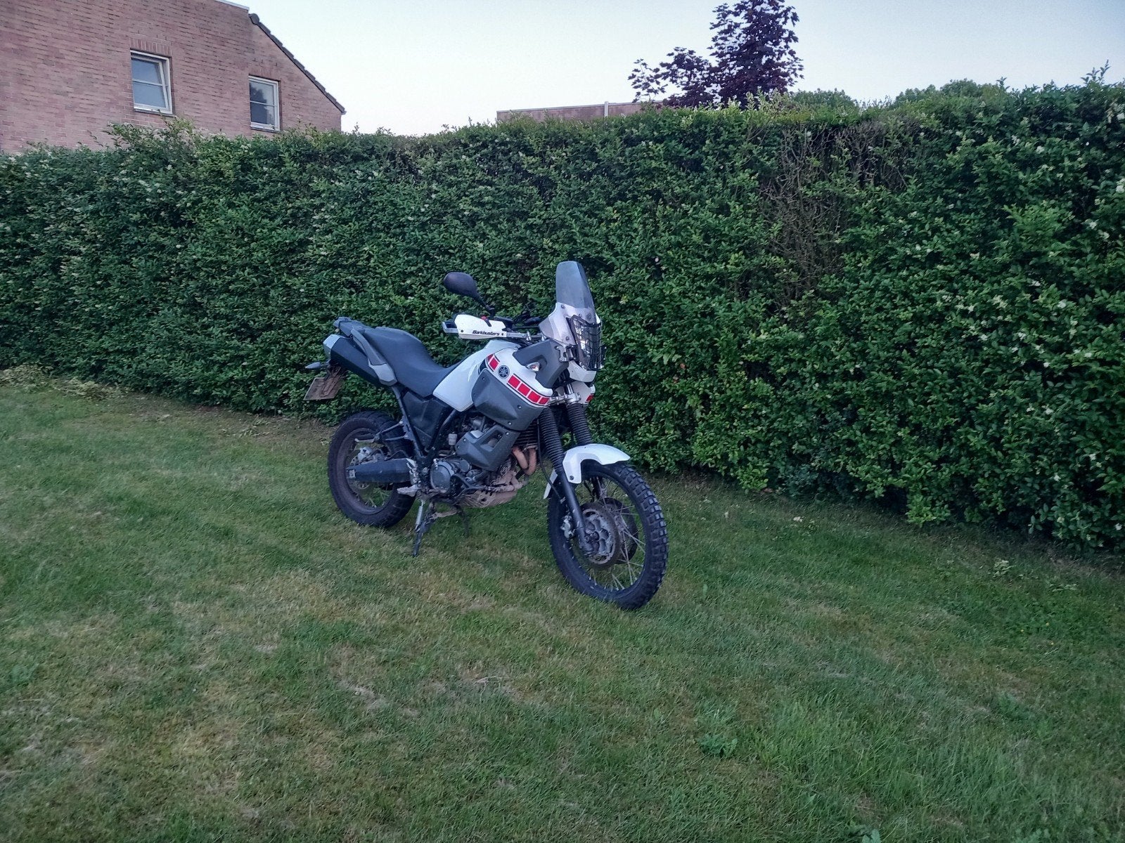Yamaha tenere 660, Ophalen, Gebruikt, Yamaha, Schijfrem