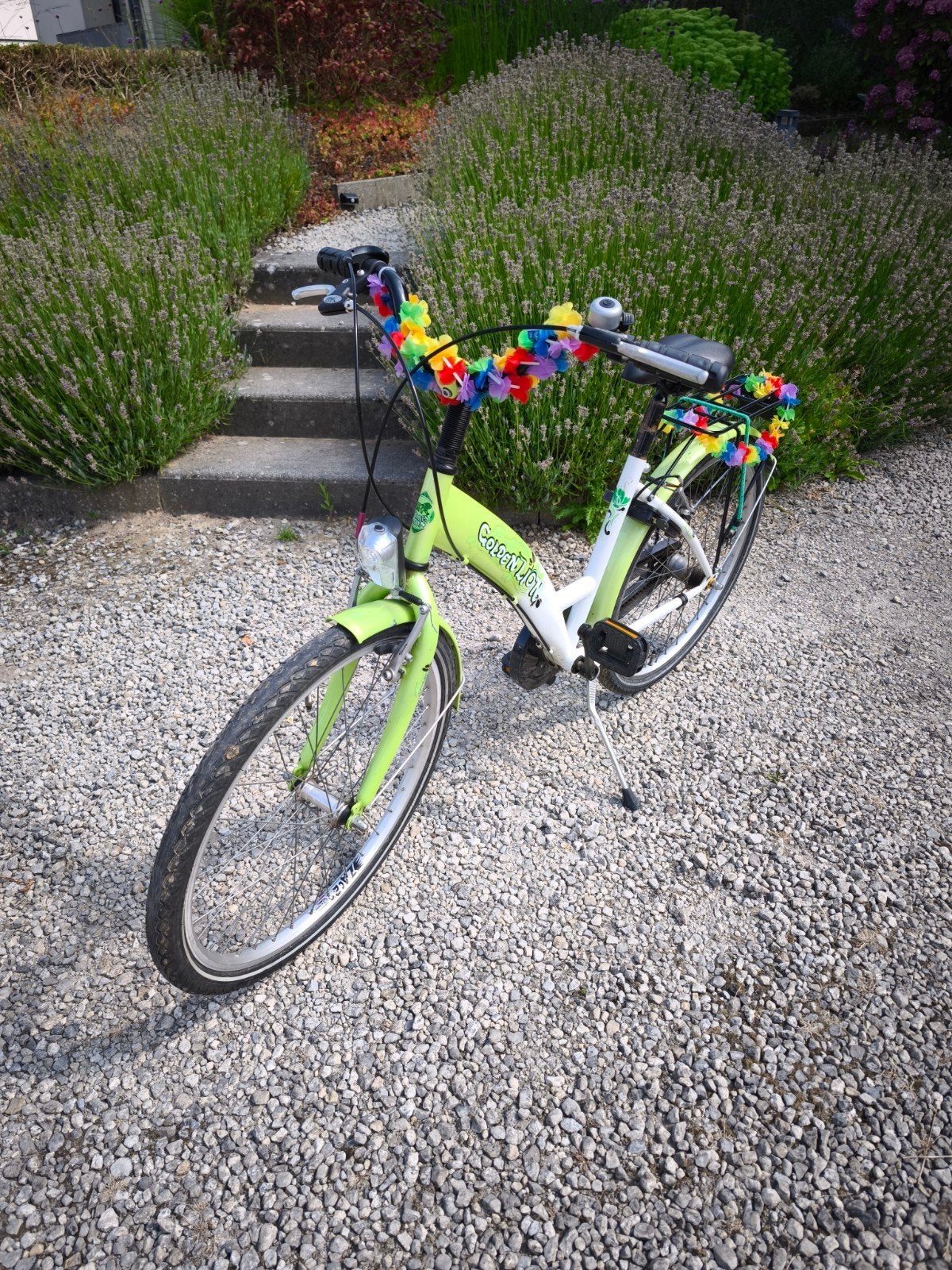 Groen witte kinderfiets van het merk Golden Lion, Ophalen