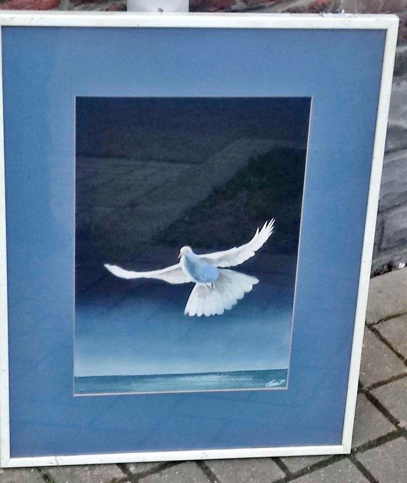 Aquarelle colombe signe Céline 90, Enlèvement ou Envoi, Aquarelle
