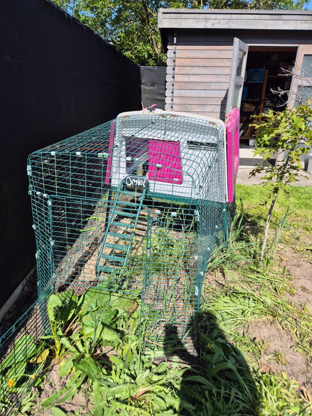 Eglu cube met elektrische deur., Enlèvement