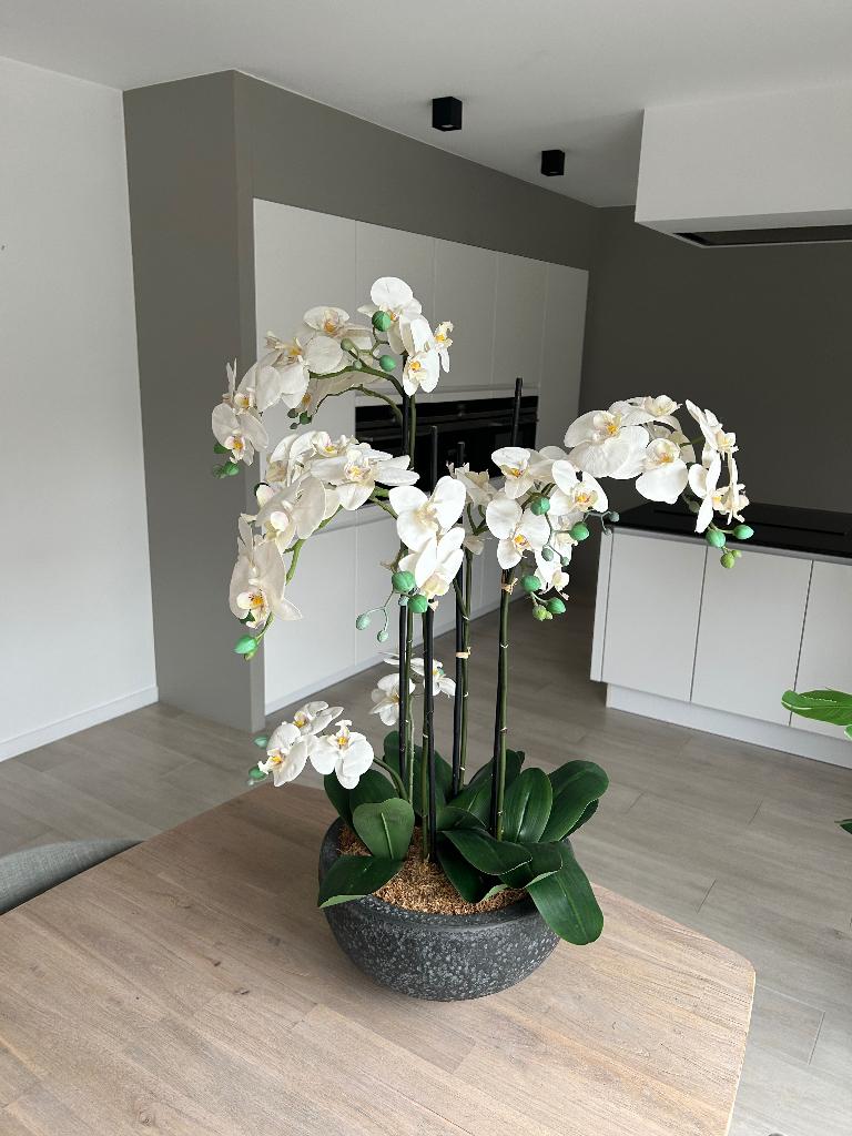 Plante d'orchidée artificielle, Enlèvement, Comme neuf, Intérieur