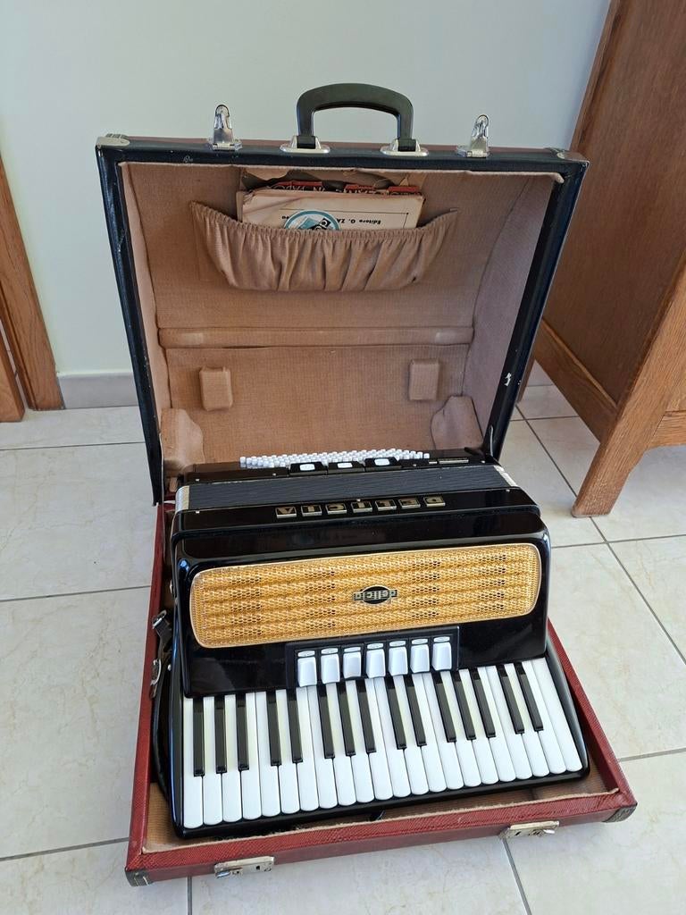Ancien accordeon DELICIA, Musique & Instruments, Enlèvement, Delicia