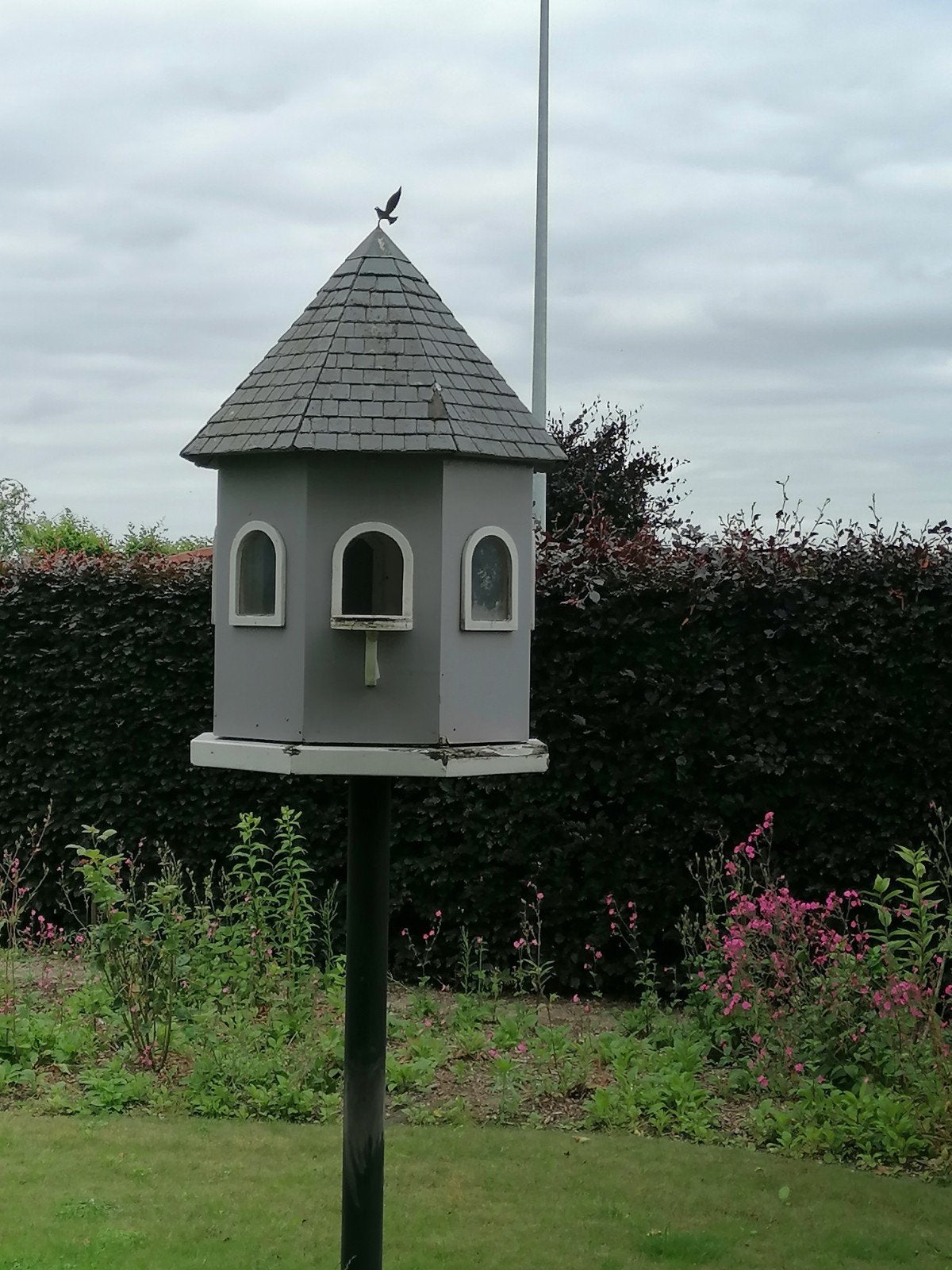 Duivenhokje, Dieren en Toebehoren, Ophalen of Verzenden