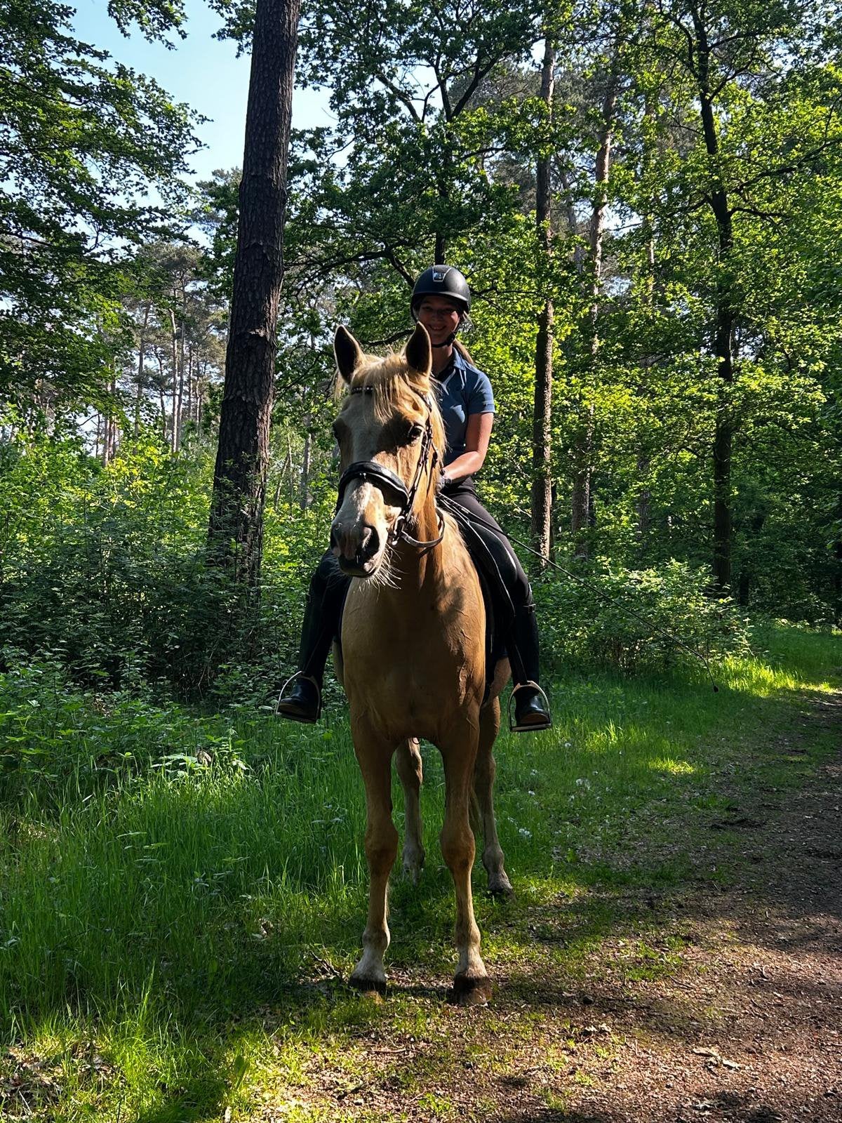 5 jarige palomino merrie, Dieren en Toebehoren, Paarden, Merrie, 3 tot 6 jaar