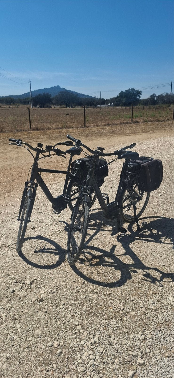 veloci ebike, Ophalen, Gebruikt, 50 km per accu of meer, Overige merken