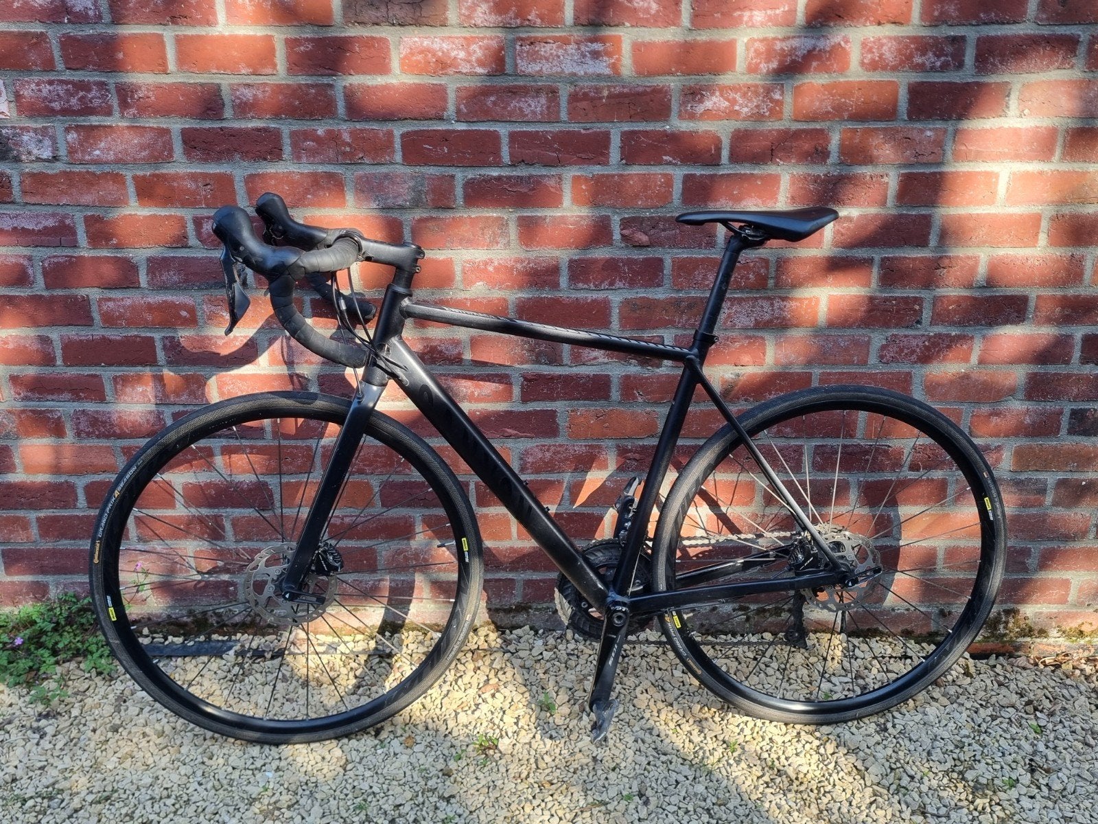 Canyon Endurace AL 7 disc medium, Ophalen