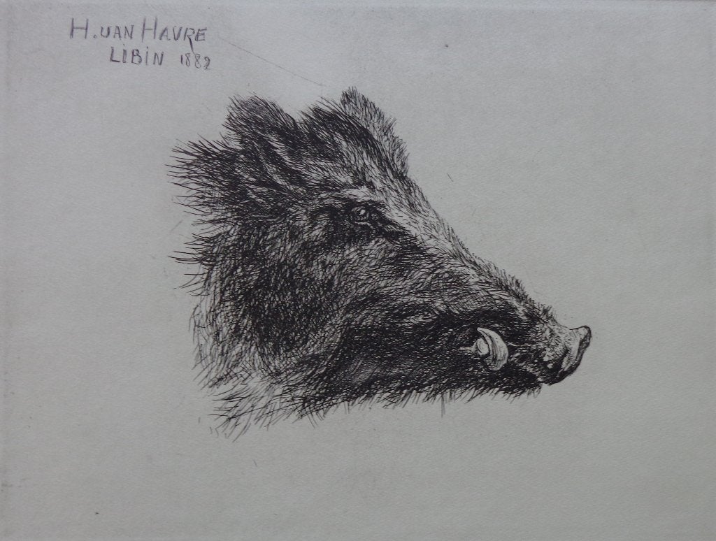 H. VAN HAVRE / EVERZWIJN / ZW-W ETS / 40x53cm / LIBIN, Antiquités & Art, Art | Lithographies & Sérigraphies, Enlèvement ou Envoi