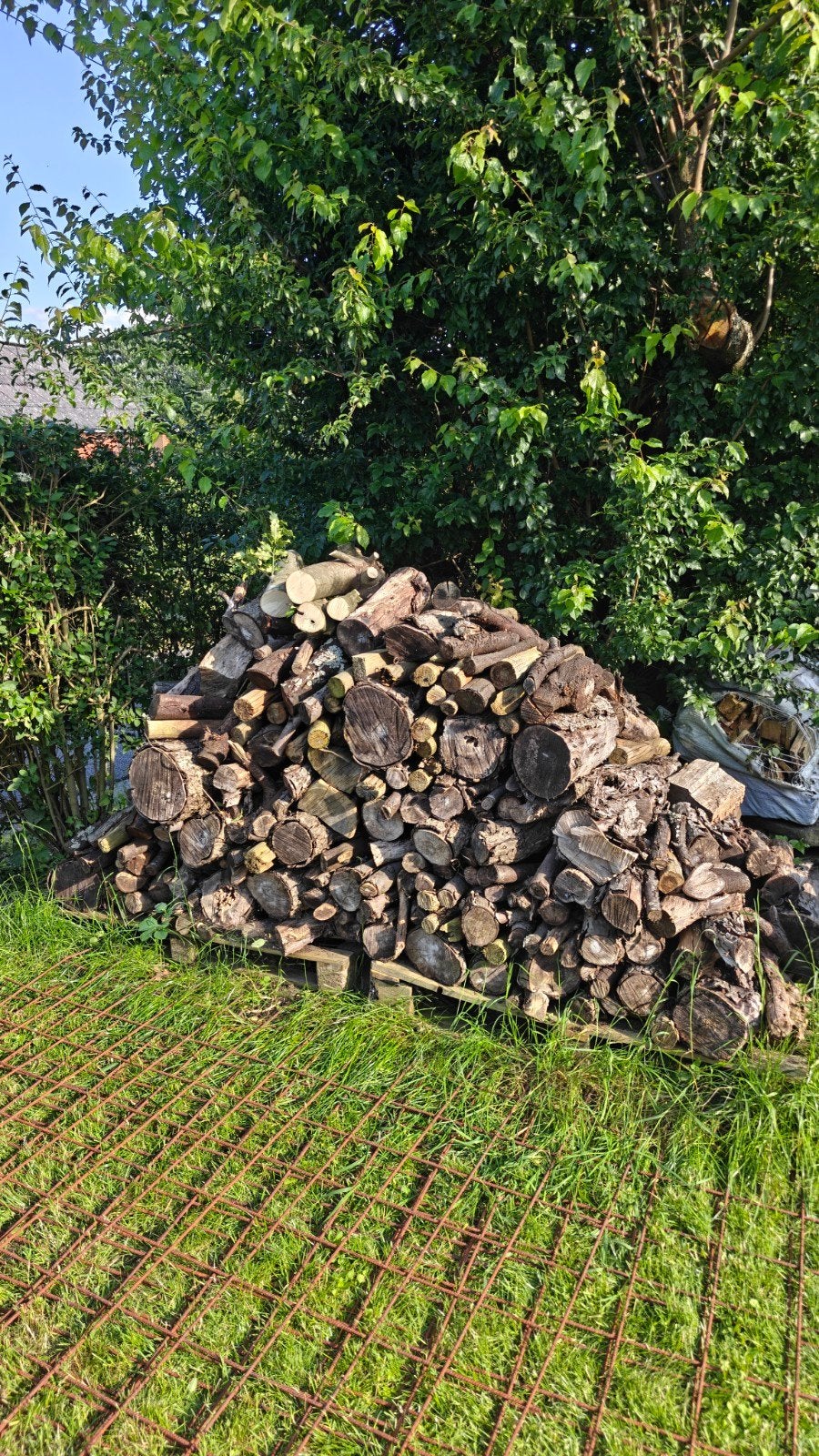 Une stère de bois chauffage, Tuin en Terras, Brandhout, Minder dan 3 m³, Ophalen, Overige houtsoorten, Blokken