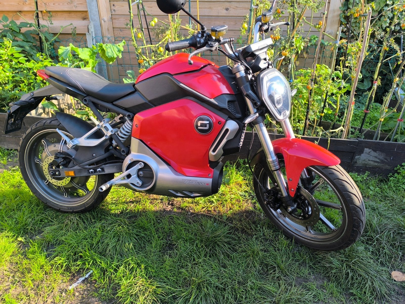 Supersoco ts1200r electrische motor, Ophalen