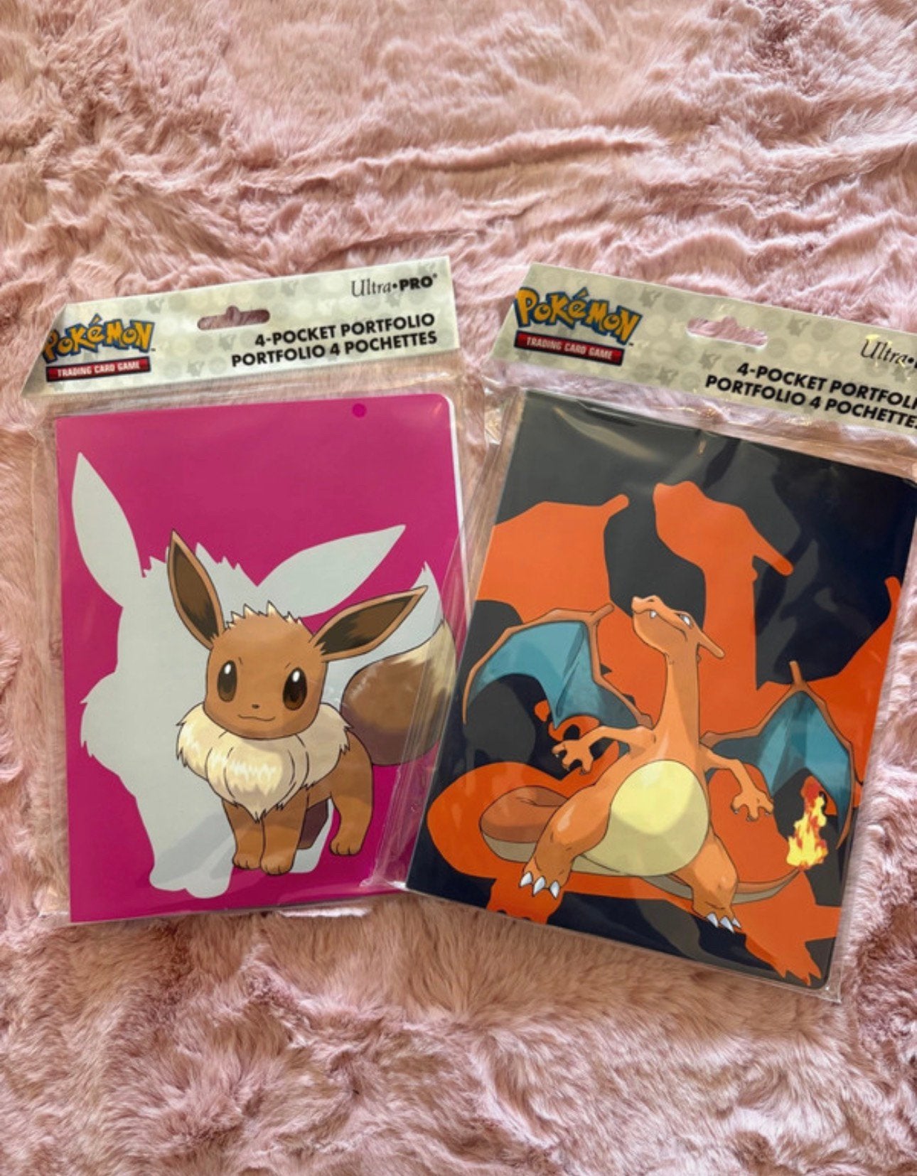 Evee & Charizard binder, Diversen, Wenskaarten, Ophalen of Verzenden, Zo goed als nieuw
