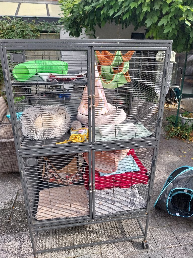 Kooi voor fretten, Dieren en Toebehoren, Ophalen, Kooi, Zo goed als nieuw, Fret