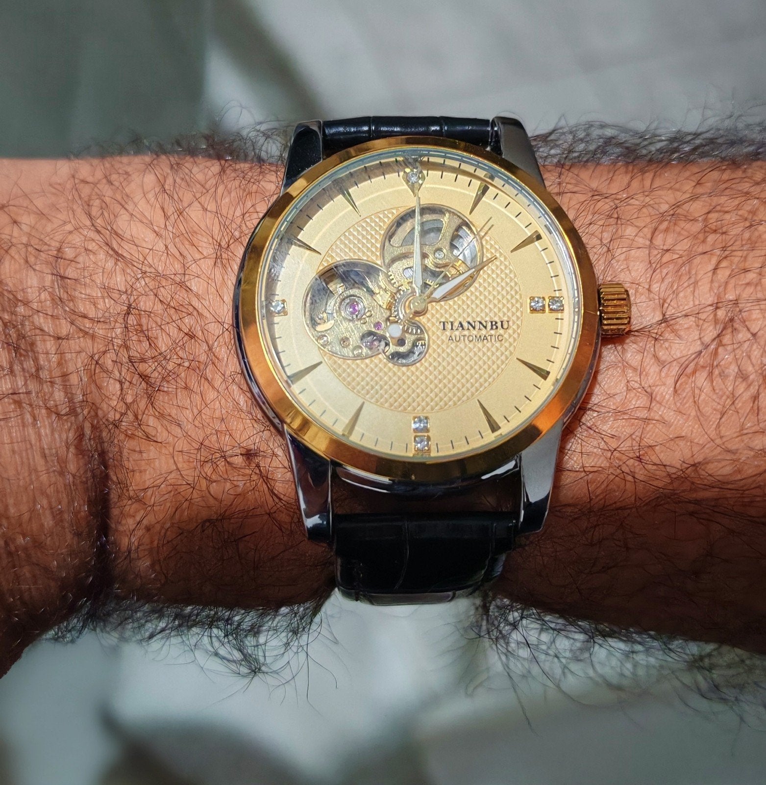 Montre automatique homme TIANNBU — Cadran squelette & Bracel, Envoi, Argent