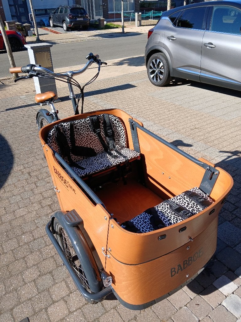 Een leuke bakfiets!, Fietsen en Brommers, 4 kinderen of meer, Elektrisch, Zo goed als nieuw, Schijfrem