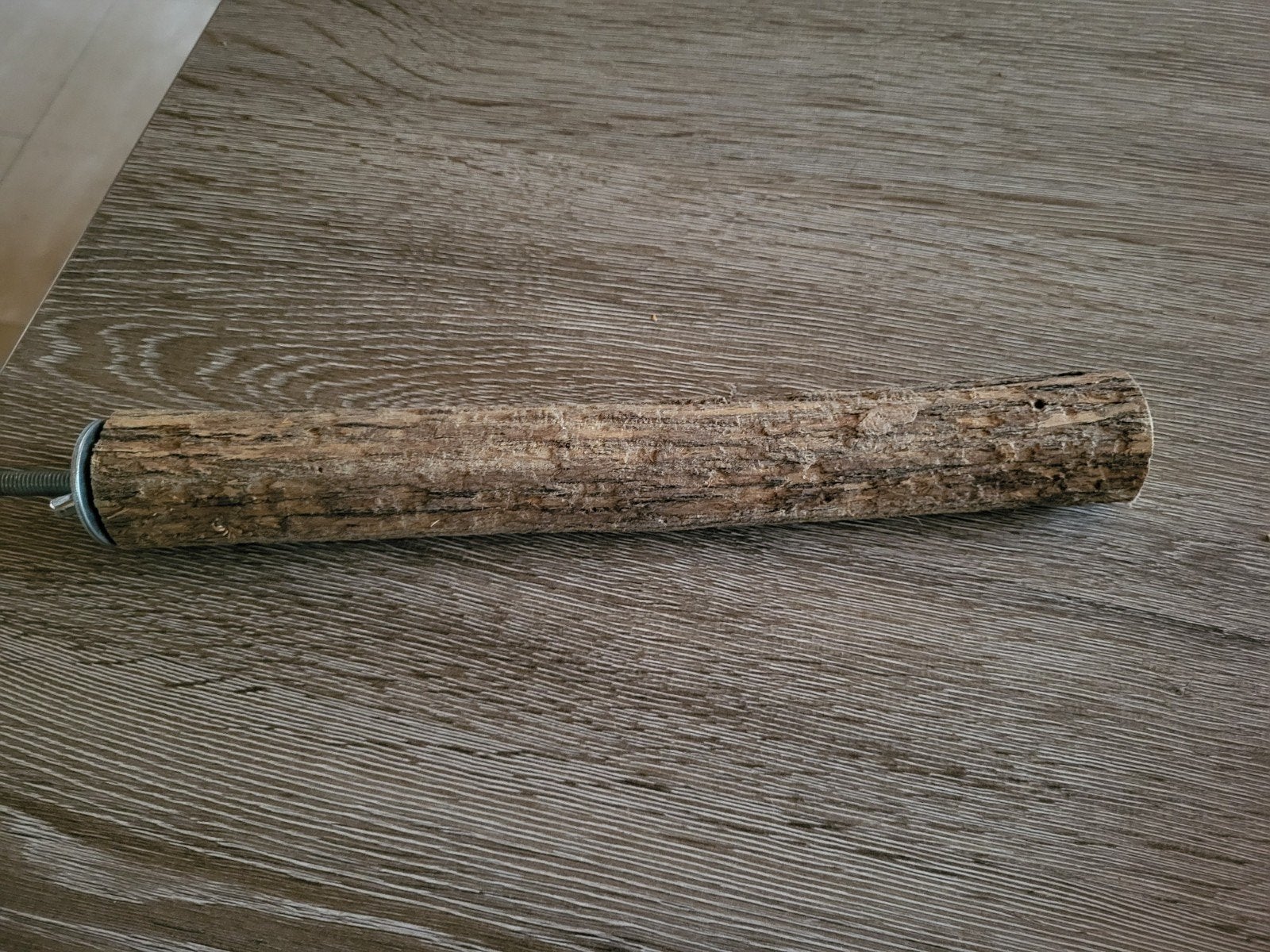 2 zitstokken en 1 betonzitstok, Dieren en Toebehoren, Papegaai