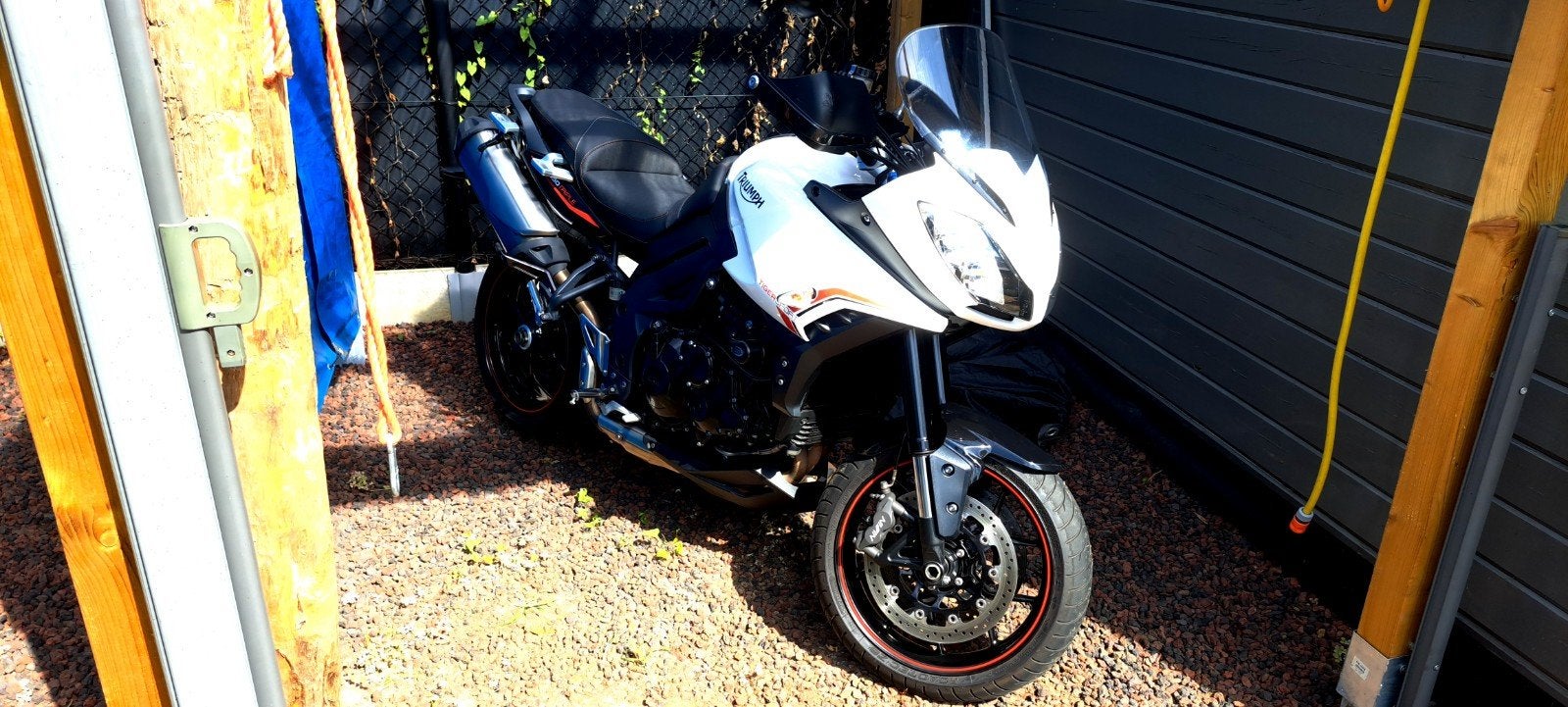 Triumph tigersport, Motoren, Motoren | Triumph, Particulier
