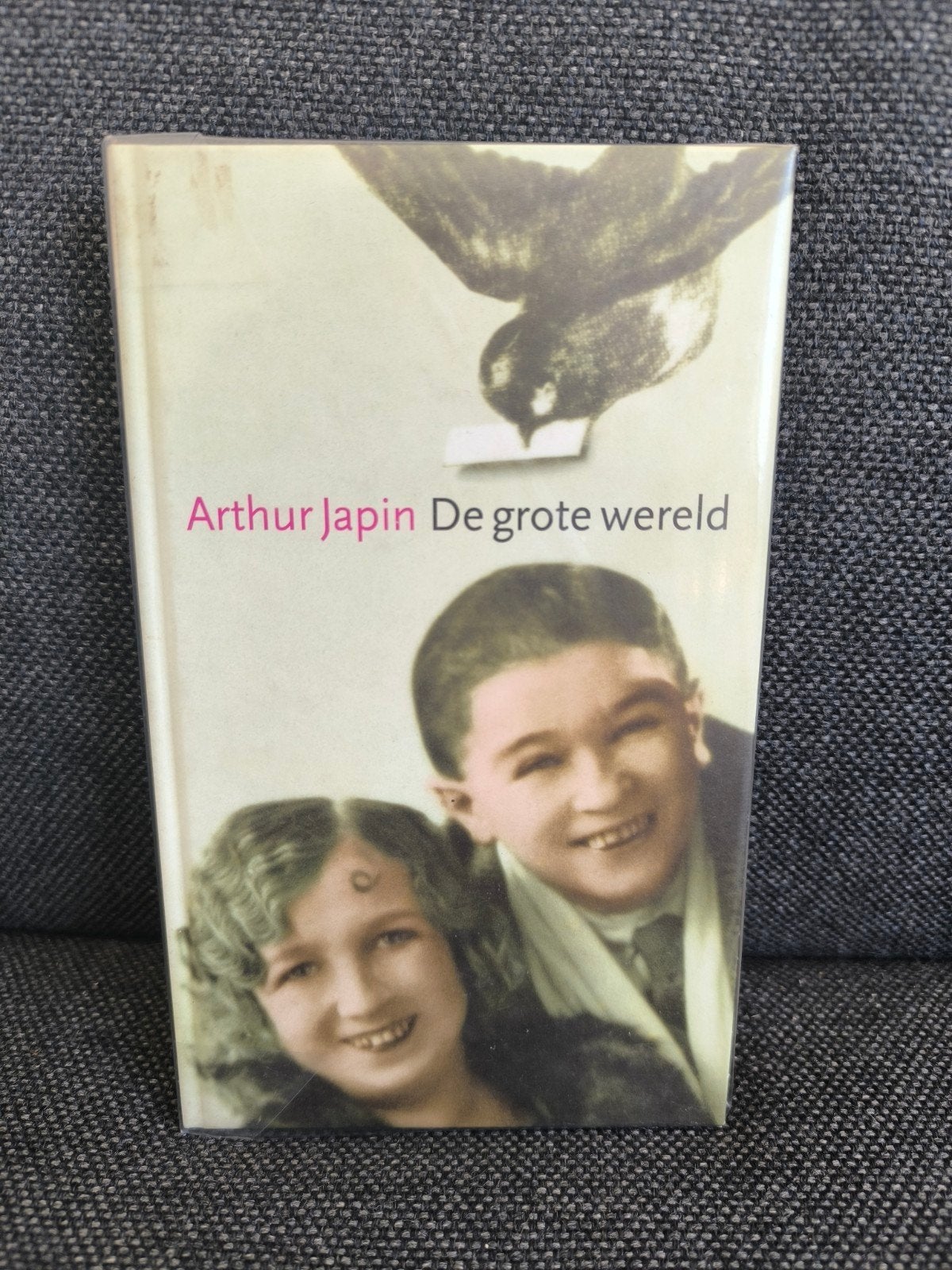 De grote wereld (Arthur Japin), Boeken, Ophalen, Zo goed als nieuw, Arthur Japin, Nederland