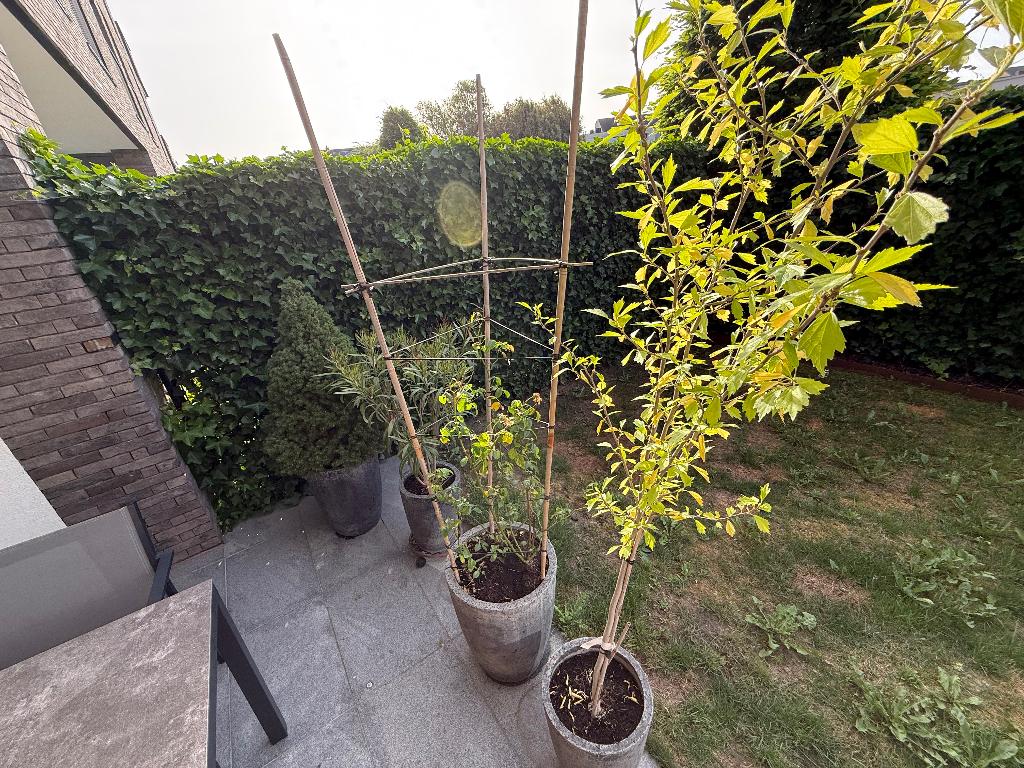 Grote bloempotten + plantenhouders op wieltjes, Tuin en Terras, Bloempotten, Ophalen, 40 cm of meer, Rond, Zo goed als nieuw