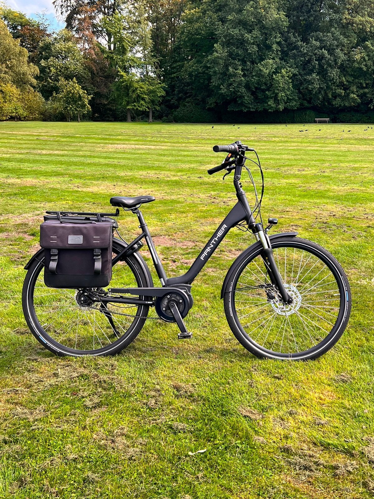Panther elektrische fiets, Fietsen en Brommers, Ophalen, Zo goed als nieuw