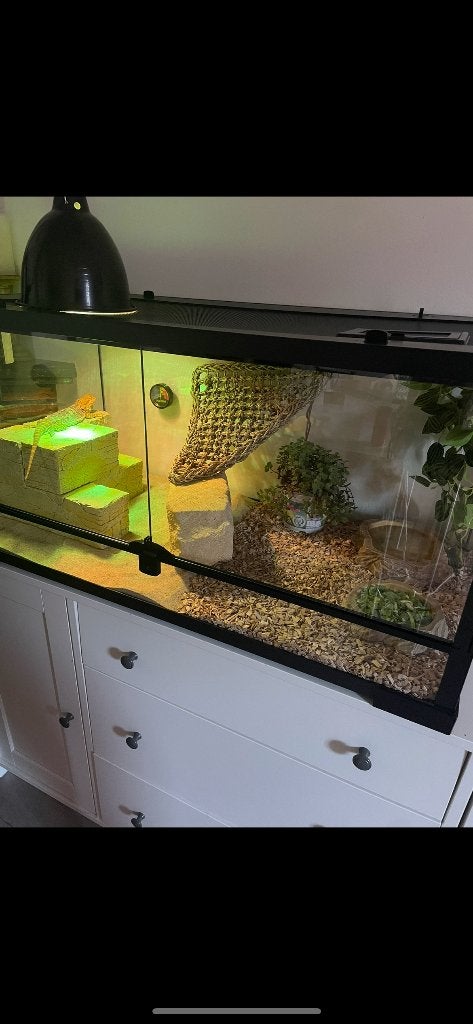 Terrarium 90x50x50, Hagedis, Met terrarium, 0 tot 2 jaar