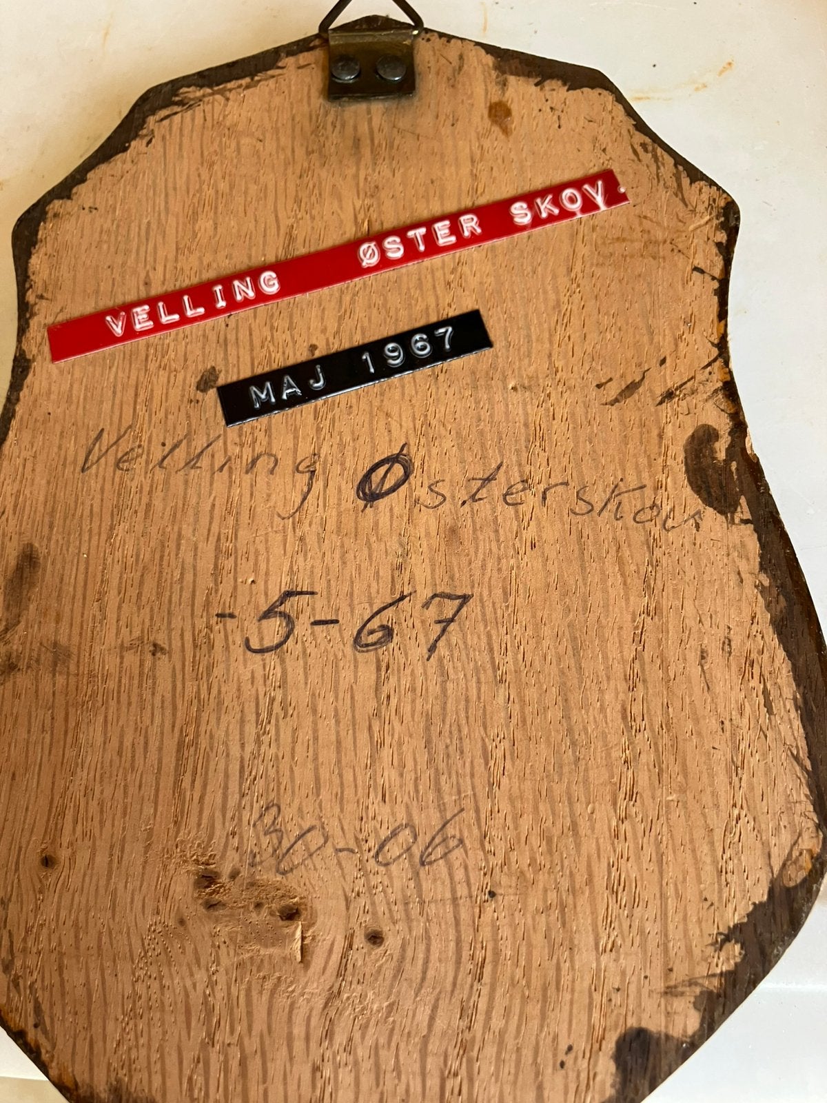 Oude skeletkoppen uit 1964 1967, Verzamelen, Ophalen, Zo goed als nieuw