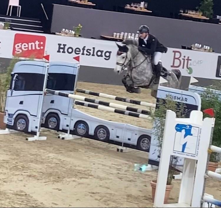 10 jarige jumping  merrie en haar merrieveulen