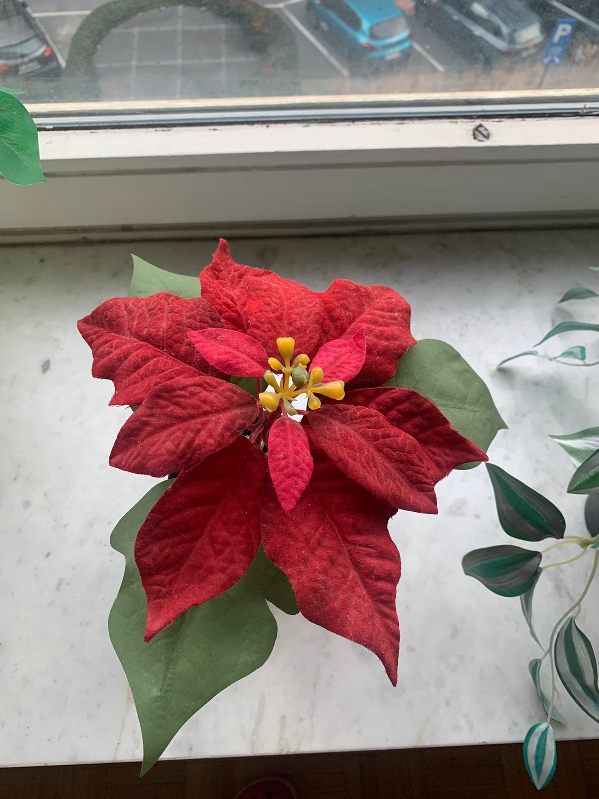 Fleurs, artificielles, Enlèvement