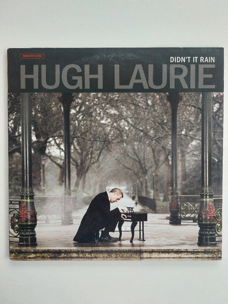 Hugh Laurie - Didn't Rain (2013 - Double Lp-Blues), CD & DVD, Enlèvement ou Envoi, Comme neuf, Pochette gatefold, Blues