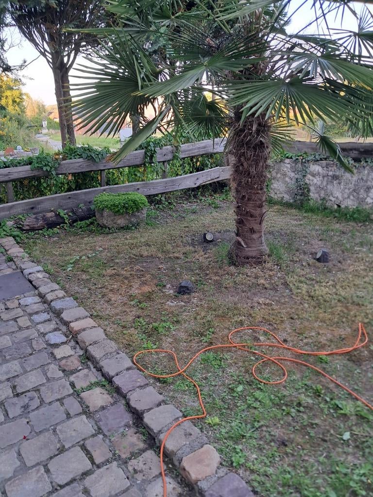 Ouvriers jardinage peintre, Enlèvement ou Envoi